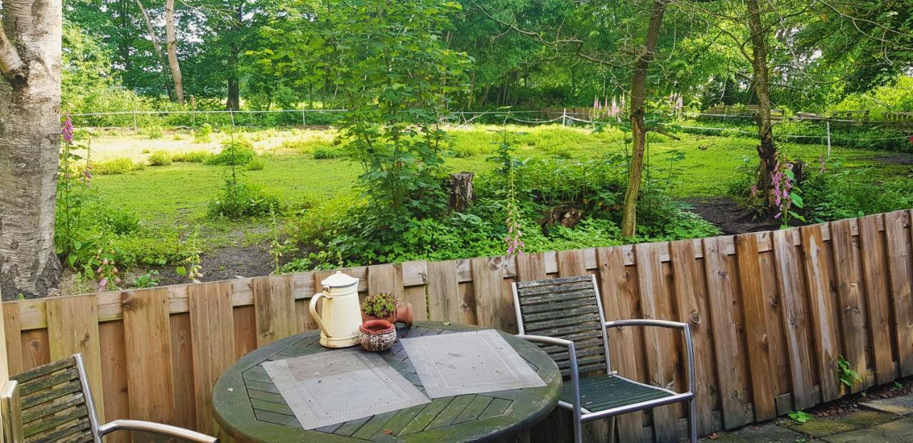 Rust En Stilte In De Natuur Onstwedde Exteriör bild