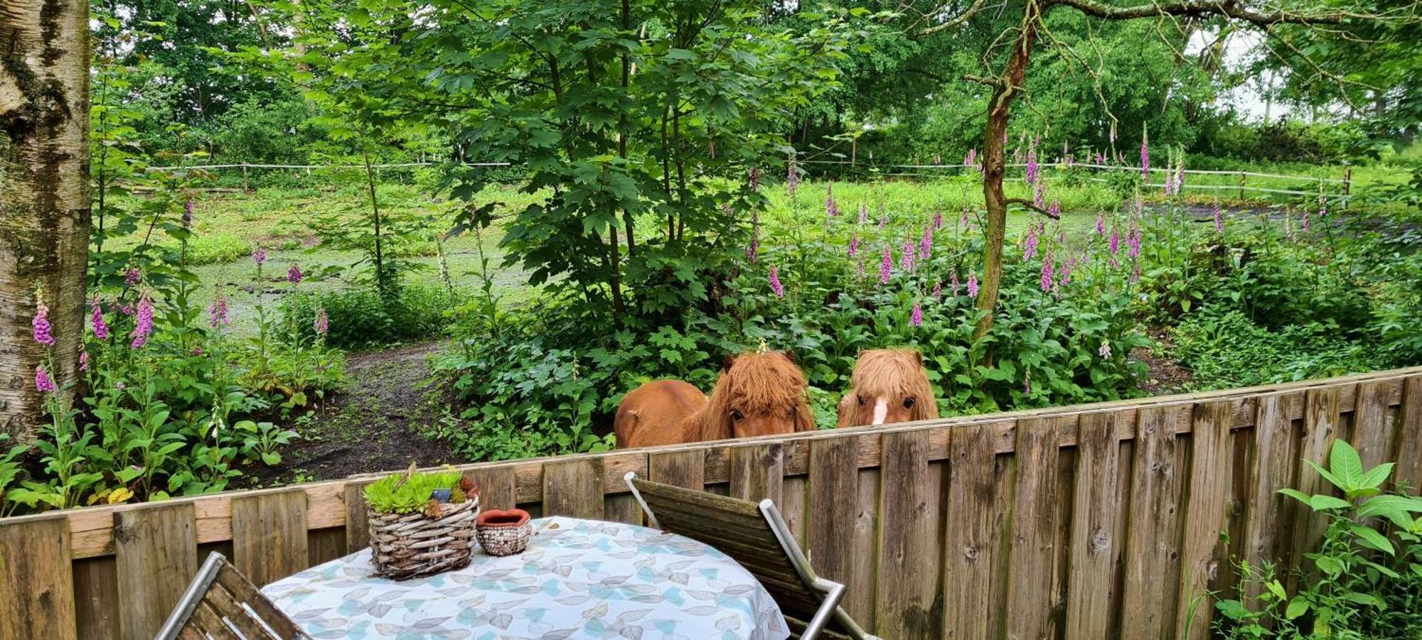 Rust En Stilte In De Natuur Onstwedde Exteriör bild