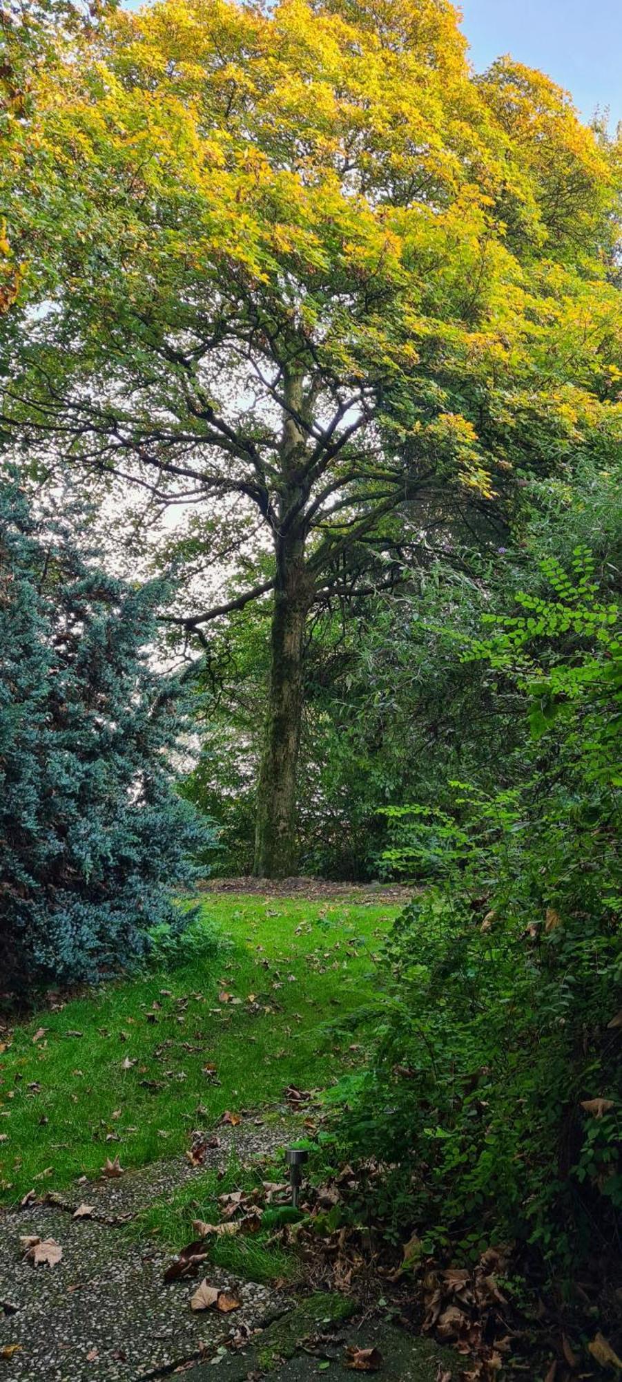 Rust En Stilte In De Natuur Onstwedde Exteriör bild